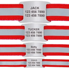 20pcs Personalized Dog ID Tags Stainless Steel Custom Slide-on Name Tag No Noise