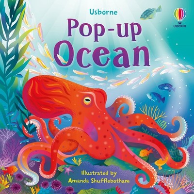 Lizzie Cope Pop-up Ocean (Kartonbuch) Pop-Ups