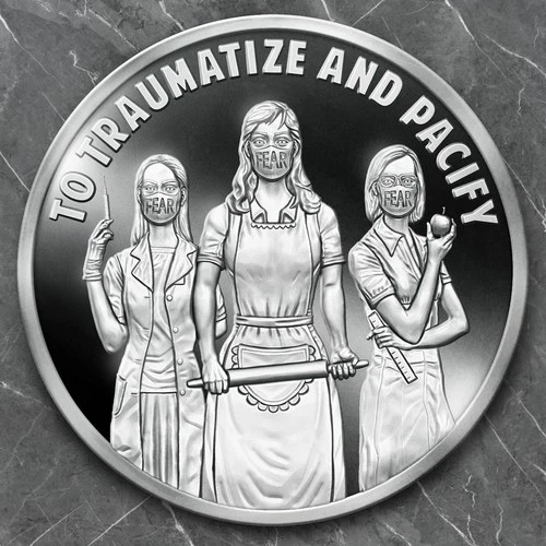 2020 1OZ NANNY STATE - SILVER SHIELD .999 PURE - COLLECTOR ROUND TRUTH TELLER AG