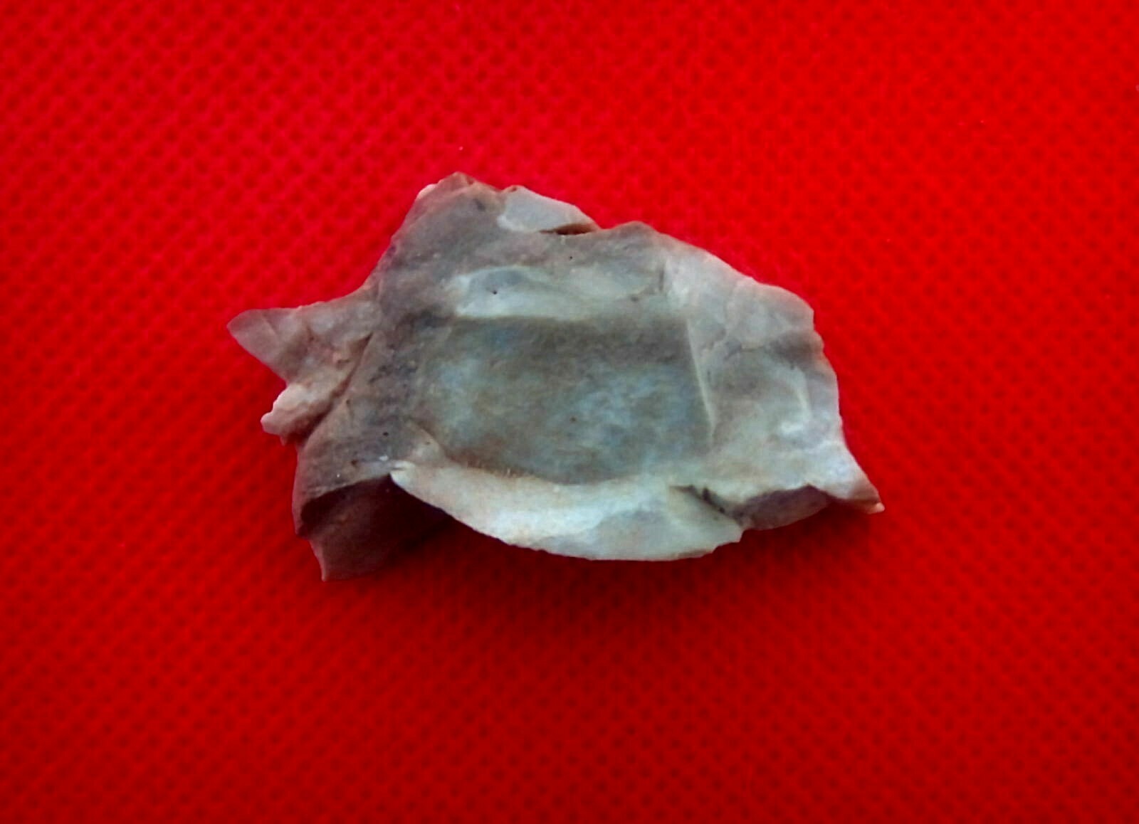 Picture 8 of 12