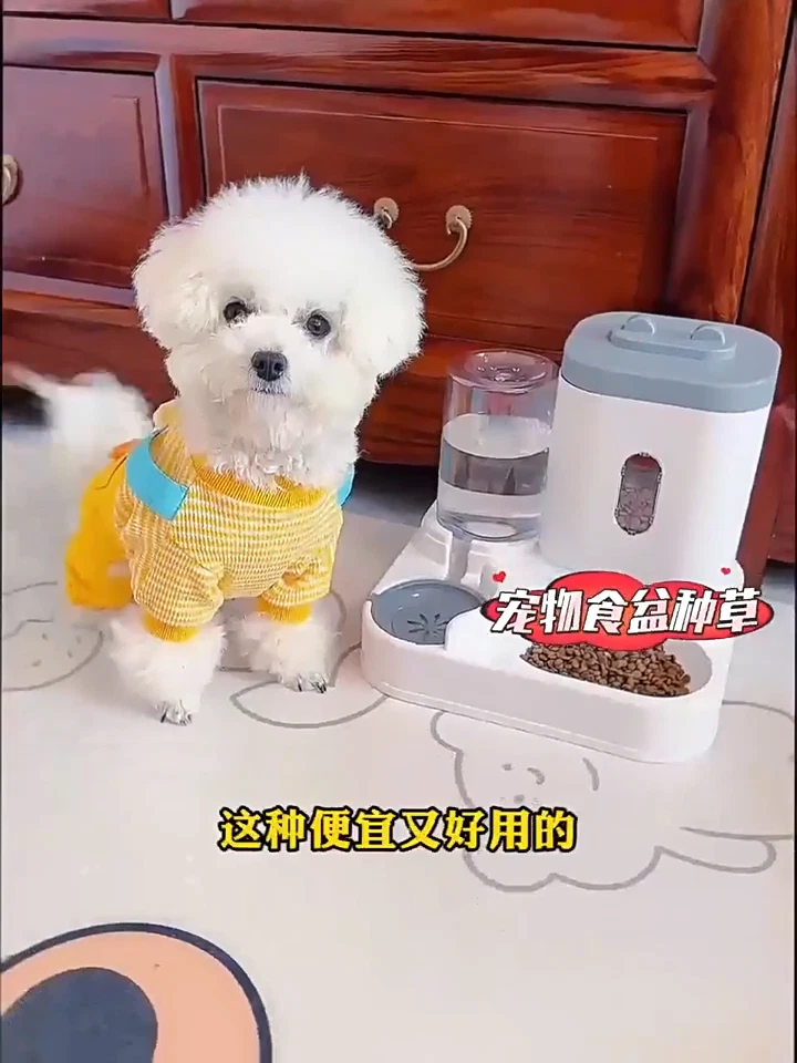 Two-in-One Upgraded Automatic Pets Feeder and Water Dispenser Combo Set New - Image 2 of 4