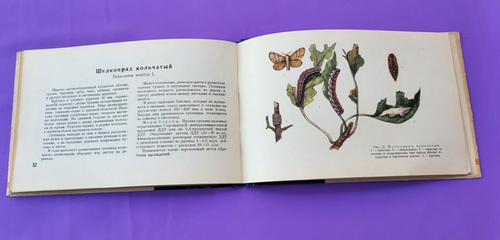 Soviet Book Album of pests of flower and ornamental plants 1963 USSR - Picture 11 of 18