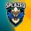 8-bit-splazed