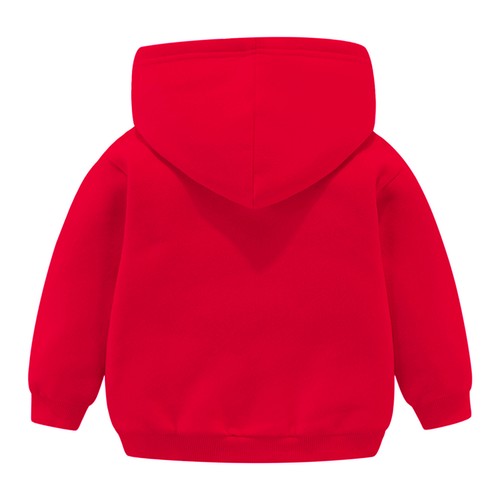 Toddler Boys Girls Winter Long Sleeve Hoodie Sweatshirt For Kids Clothes Cartoon - Picture 11 of 29