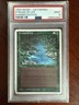 PSA 9 Mtg Summer Edgar Stream of Life