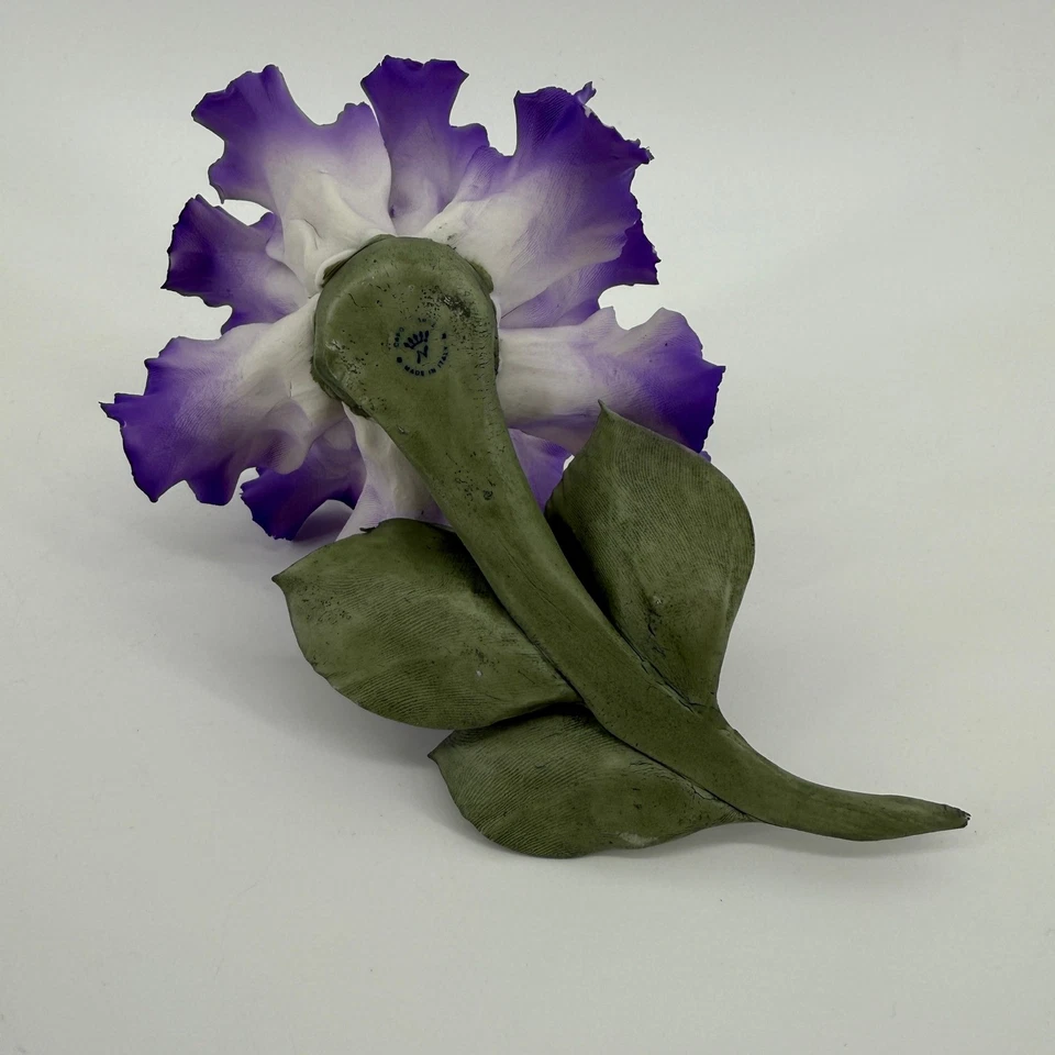 De Colección Capodimonte Porcelana Flor de Iris Barbudo Italia Corona Marca N Púrpura LEER Foto 4 de 4