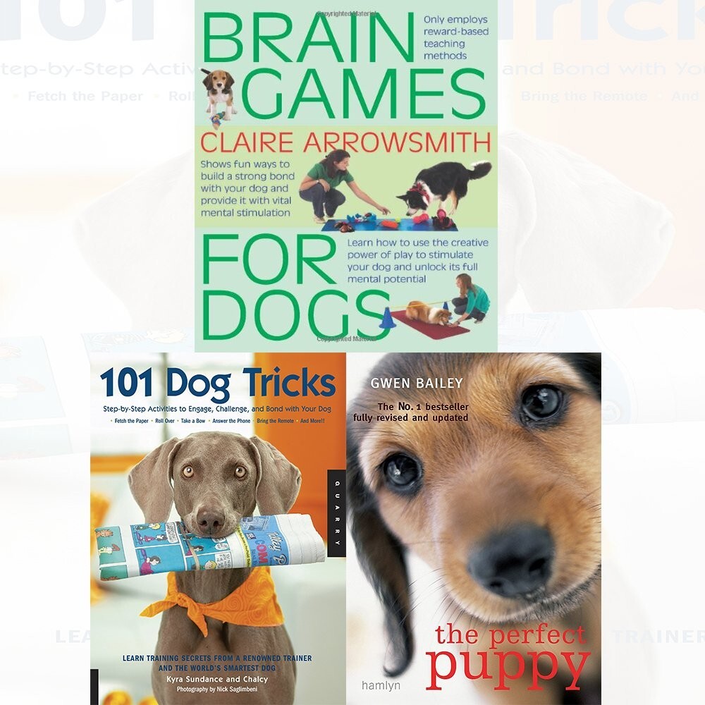 Brain Games For Dogs, Perfect Puppy, 101 Dog Tricks 3 books collection Set