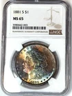 1881 S Toned Morgan $ NGC MS 65💎💎Monster Obverse Rainbow Toned💎💎VIDEO