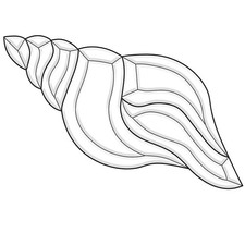 11-1/2"X 5-1/4" Exquisite Clear Glass Conch Shell Bevel Cluster EC302