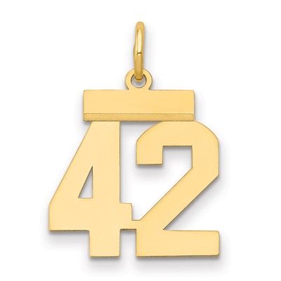 14k Yellow Gold Small Polished Number 42 Charm LS42