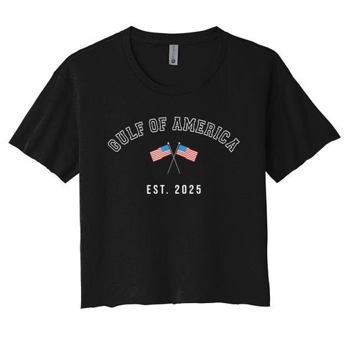 Gulf Retro Of America Est 2025 Usa American Flag Women's Crop Top Tee