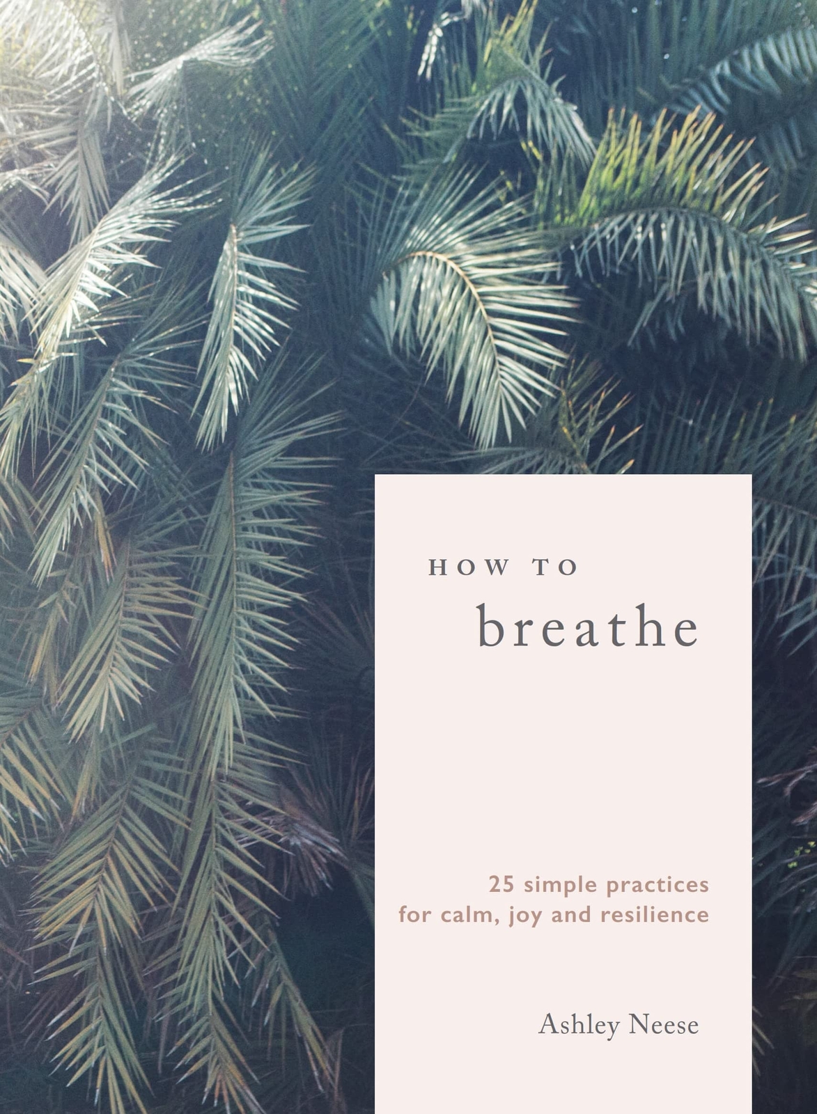 How to Breathe: 25 Simple Practices for Calm, Joy, and Resilienc