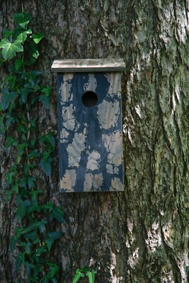 Design Nistkasten Kiefer mit Rindenoptik Wildvögel Meisenkasten Vogelhaus Holz
