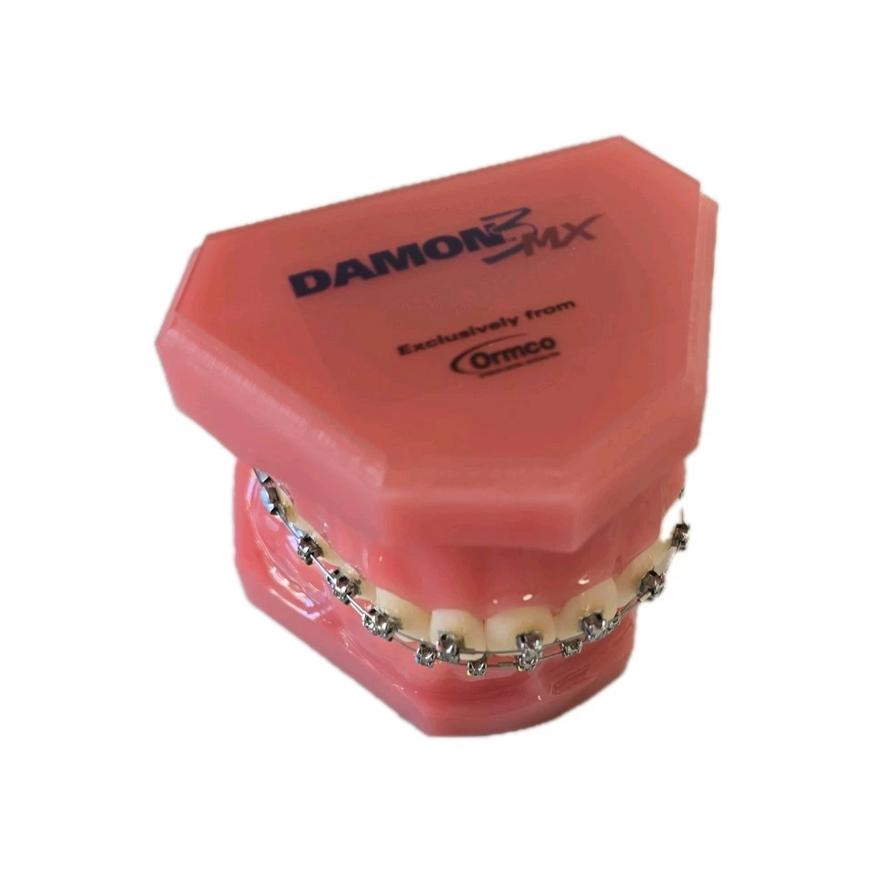 Damon 3MX Consultation Typodont 717-1033 by Ormco - Image 4 of 4