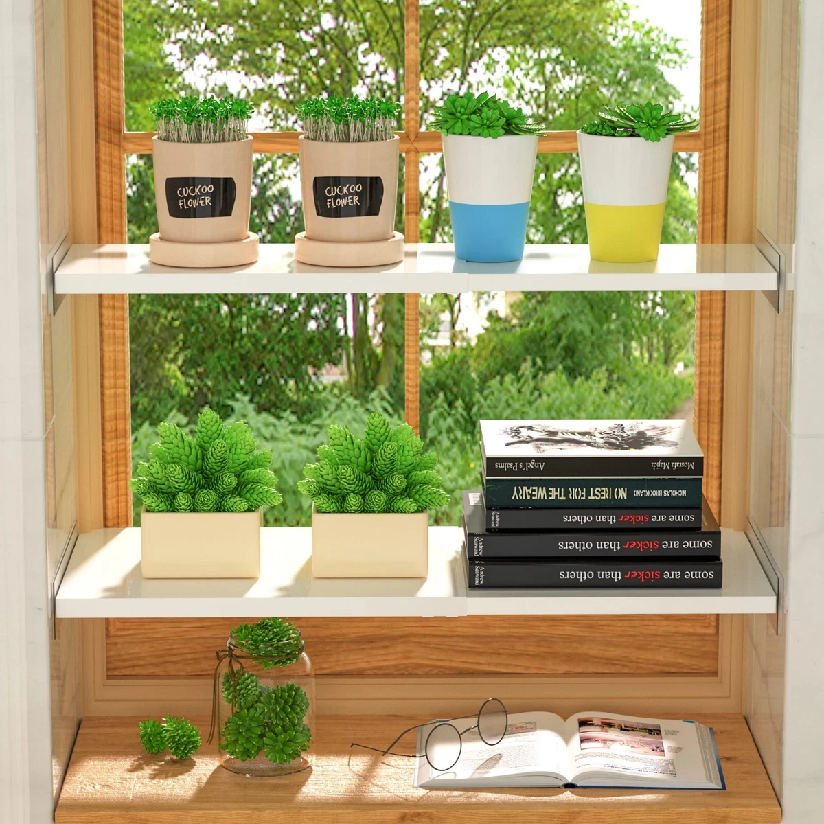 Expandable Closet Shelf