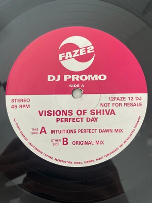 Visions Of Shiva    Perfect Day - [12'' Vinyl, UK, Promo, 12FAZE 12 DJ] - VG