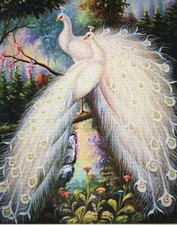 WHITE  PEACOCK - FULL  DIAMOND  EMBROIDERY  CROSS - STITCH  3D DIAMOND