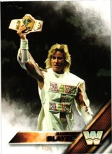 Alundra Blayze Legend 2016 Topps Wrestling Card