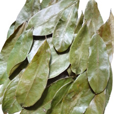 Dried Soursop Leaves Organic natural pure Annona/Guanabana/Graviola /Ceylon