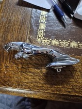  on The Hot Collector