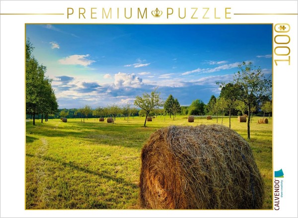 "Calvendo Puzzle A Photo From The \"Summer On The Rennsteig\" Calendar | 1000 Piece"-image