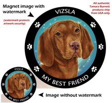 Vizsla My Best Friend Dog Car Magnet