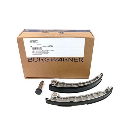 Borgwarner Gleitschienensatz Satz für Fiat Ducato Iveco Daily Citroën Jumper Peu