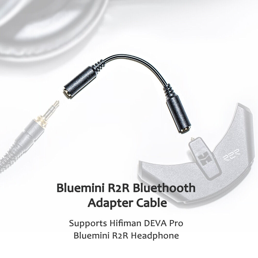 HiFiMAN DEVA with Bluemini R2R|ヘッドホン HiFiMAN DEVA with Bluemini R2R|ヘッドホン