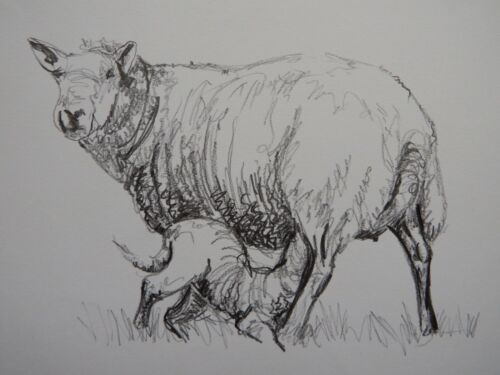 Pencil sketch drawing after Henry Moore study of a sheep & lamb - Picture 1 of 12