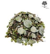 Greek Dried Dittany Leaves Cretan | Origanum Dictamnus