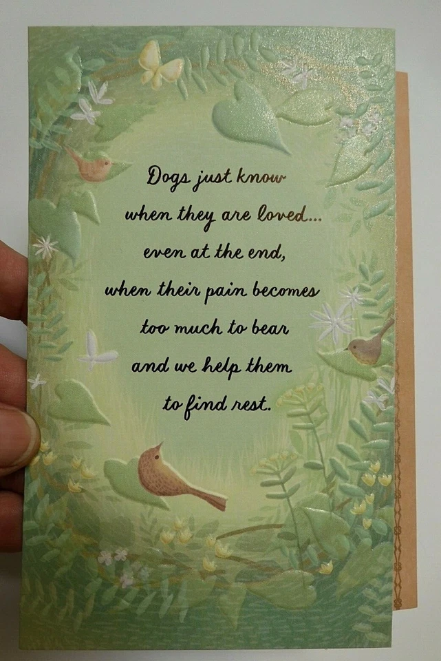 3 Cards Hallmark with Sympathy for PET DOG Sympathy Card WE LOVE OUR DOGS Matte - Image 2 of 4