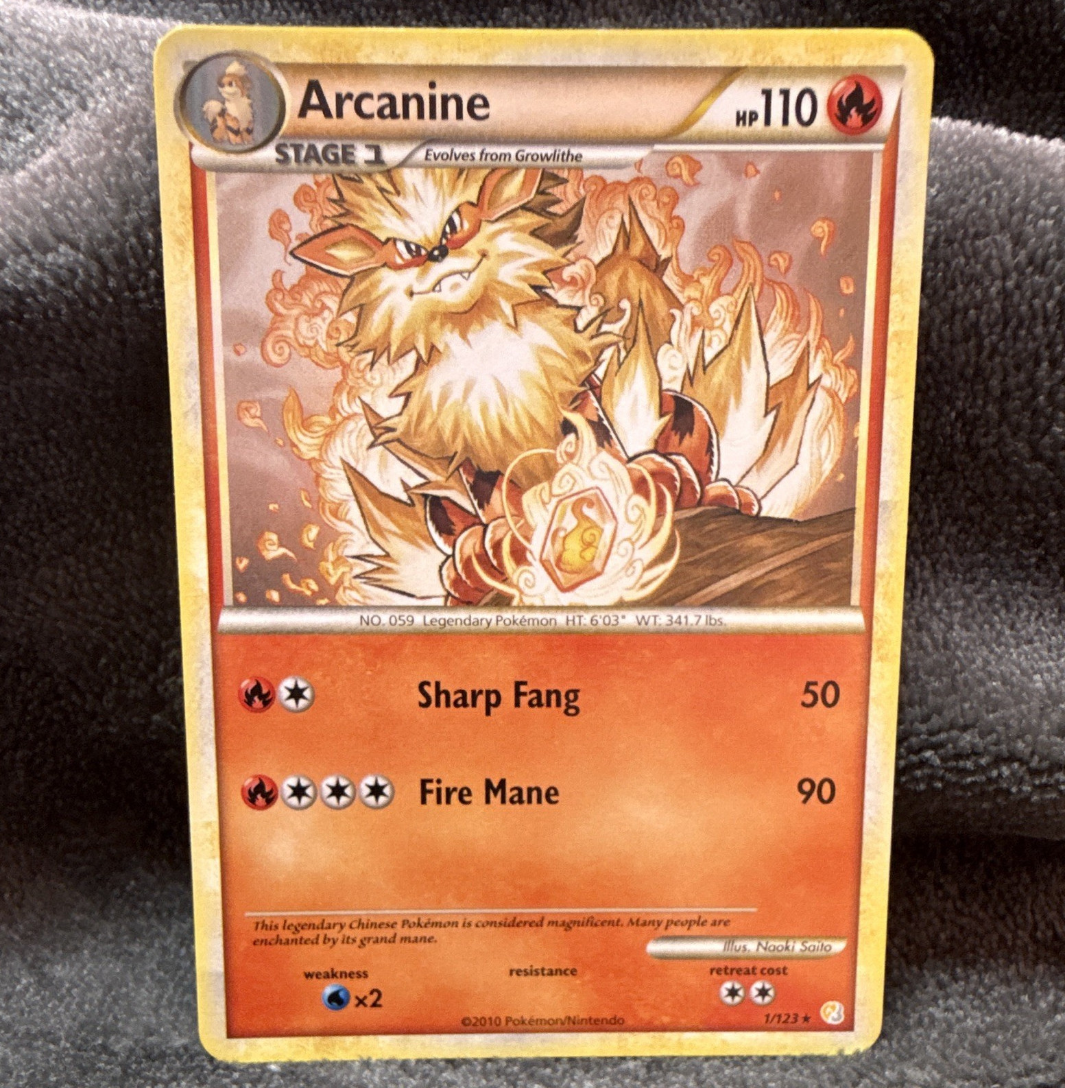 Pokemon TCG Arcanine 1/123 HeartGold SoulSilver Holo Rare Eng 2010 HP110