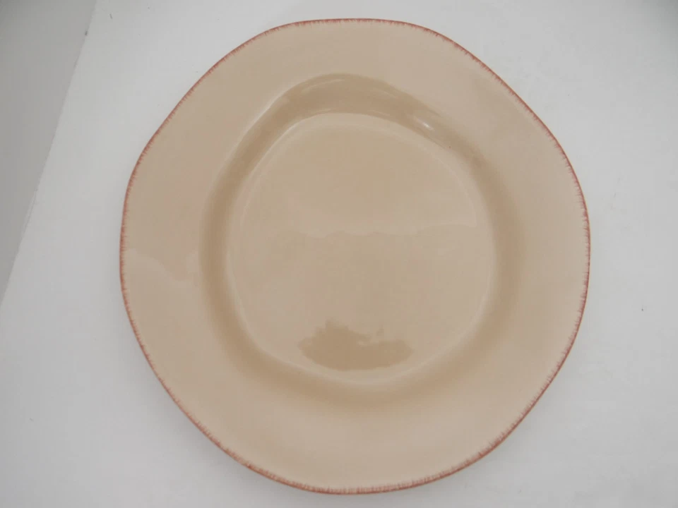 Juego de 2 platos de cena Pier 1 elemental miel loza Foto 3 de 4