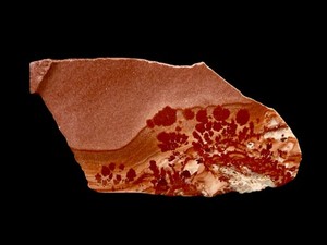 Apache Rhyolite slab (New Mexico) Jasper Agate Old Stock Lapidary Etc