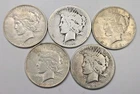 5 Peace Silver Dollars - 5 Coin Lot SKMD34