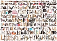 Puzzle (1000 T.) Welt Der Katzen (Eurographics) Neu/Ovp