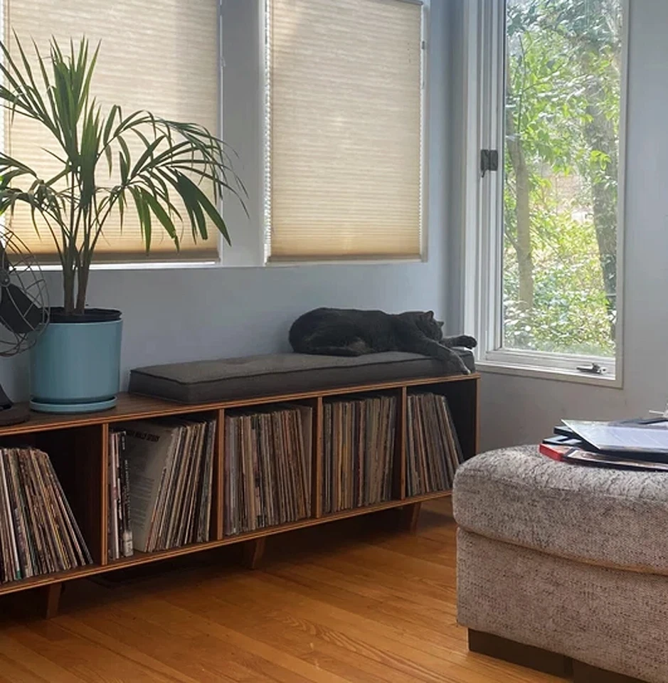 Banco de almacenamiento de discos de vinilo LP moderno de mediados de siglo ESTANTE NOGAL gabinete tocadiscos Foto 4 de 4