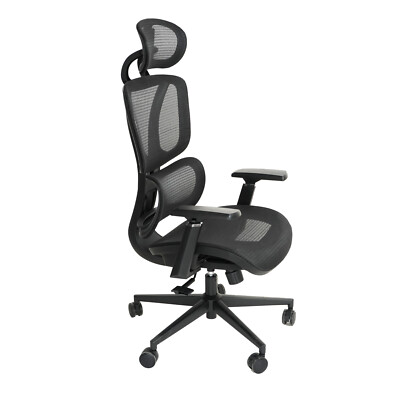 Ergonomic Mesh Office Chair, Adjustable Lumbar High Back Desk Chair 3D Headrest