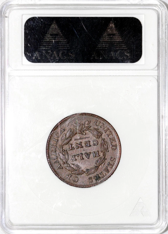 1825 1/2c C-2 Classic Head Half Cent ANACS EF 40 - Image 4 of 4
