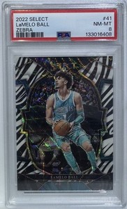 Basketball Zebra | eBay