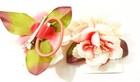 Bild 21 von 21