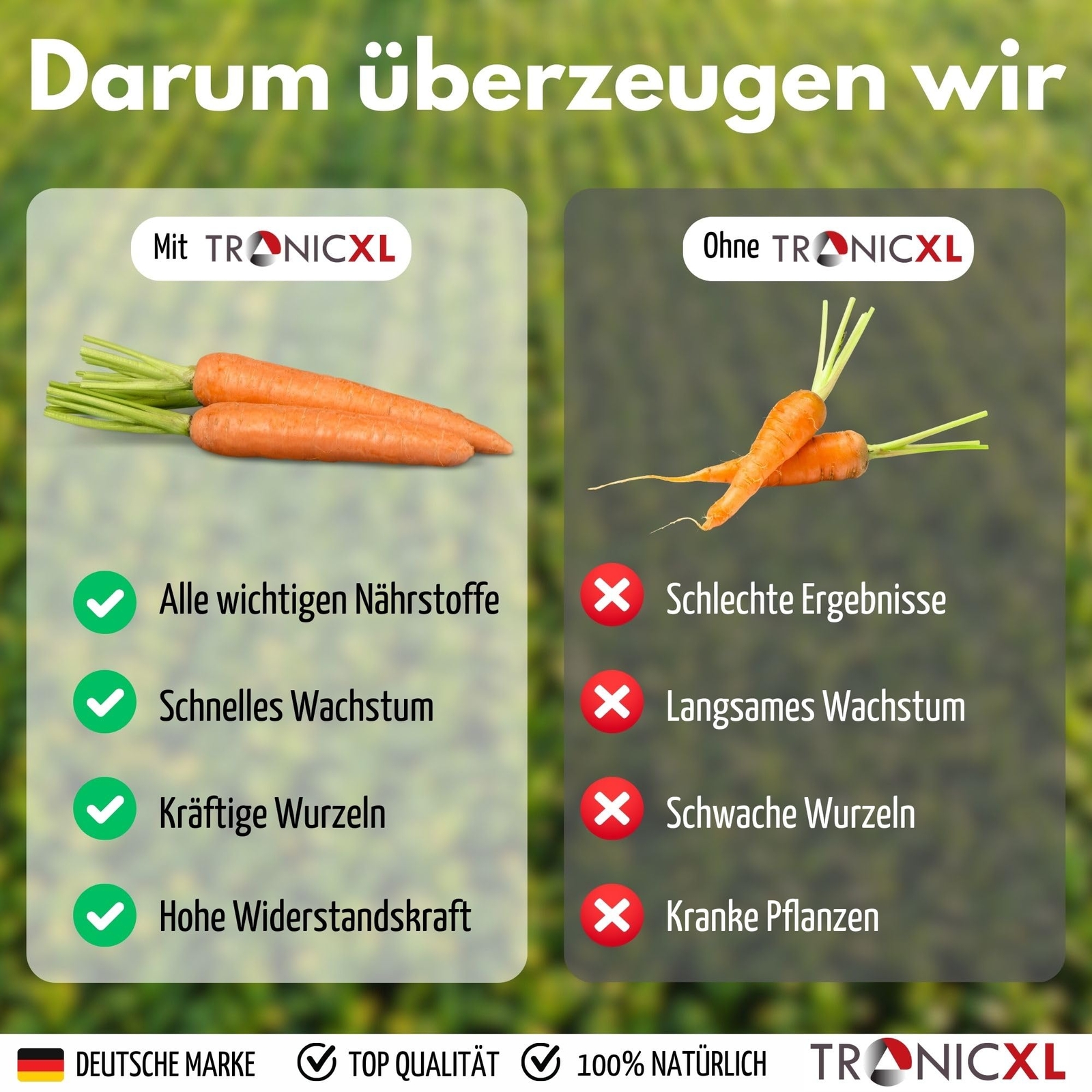 Bild 6 von 7