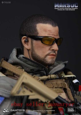 DAMTOYS MARSOC TEAM OPERATOR 78007 Perfect Damtoys 78007 1/6