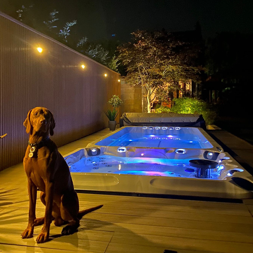 Dynamic | Swim Spa Pool | 590 x 227 x 126cm - Picture 5 of 6