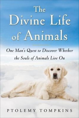 The Divine Life of Animals : One Man's Quest to Discover Whether