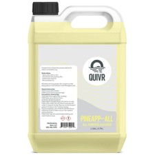 Citrus All-Purpose Cleaner 128oz - Heavy-Duty Interior Exterior Cleaner