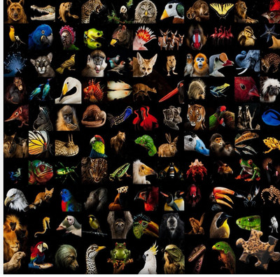 RAVENSBURGER 1000 PC JIGSAW PUZZLE   99 Beautiful Animals 