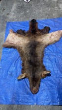 Wyoming Elk Hide Cape