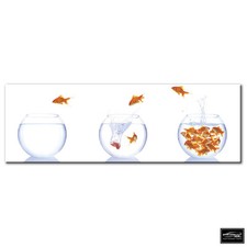 Animals Goldfish Bowls   BOX FRAMED CANVAS ART Picture HDR 280gsm