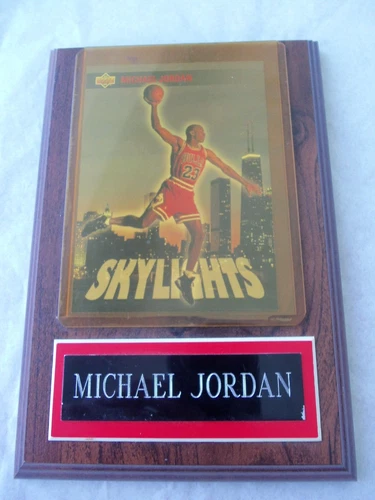 Michael Jordan Plaque with Skylights Upper Deck Card 1993!  CHICAGO BULLS!